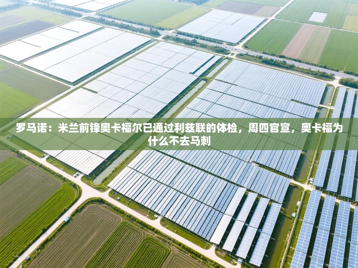 鲸鱼体育-罗马诺:米兰前锋奥卡福尔已通过利兹联的体检,周四官宣,奥卡福为什么不去马刺 第2张