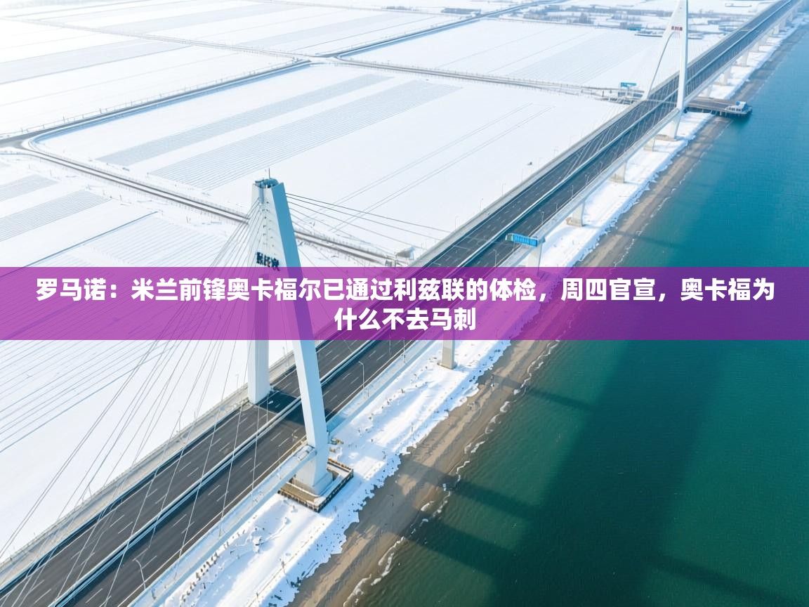 鲸鱼体育-罗马诺:米兰前锋奥卡福尔已通过利兹联的体检,周四官宣,奥卡福为什么不去马刺 第4张