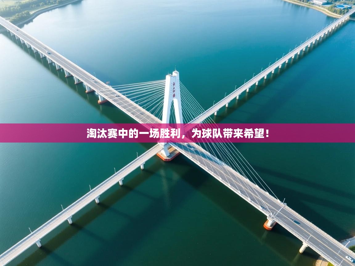 蓝鲸体育app下载-淘汰赛中的一场胜利，为球队带来希望！  第1张