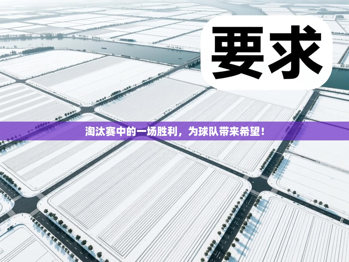 蓝鲸体育app下载-淘汰赛中的一场胜利，为球队带来希望！  第2张