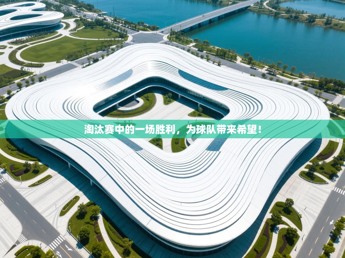 蓝鲸体育app下载-淘汰赛中的一场胜利，为球队带来希望！  第4张