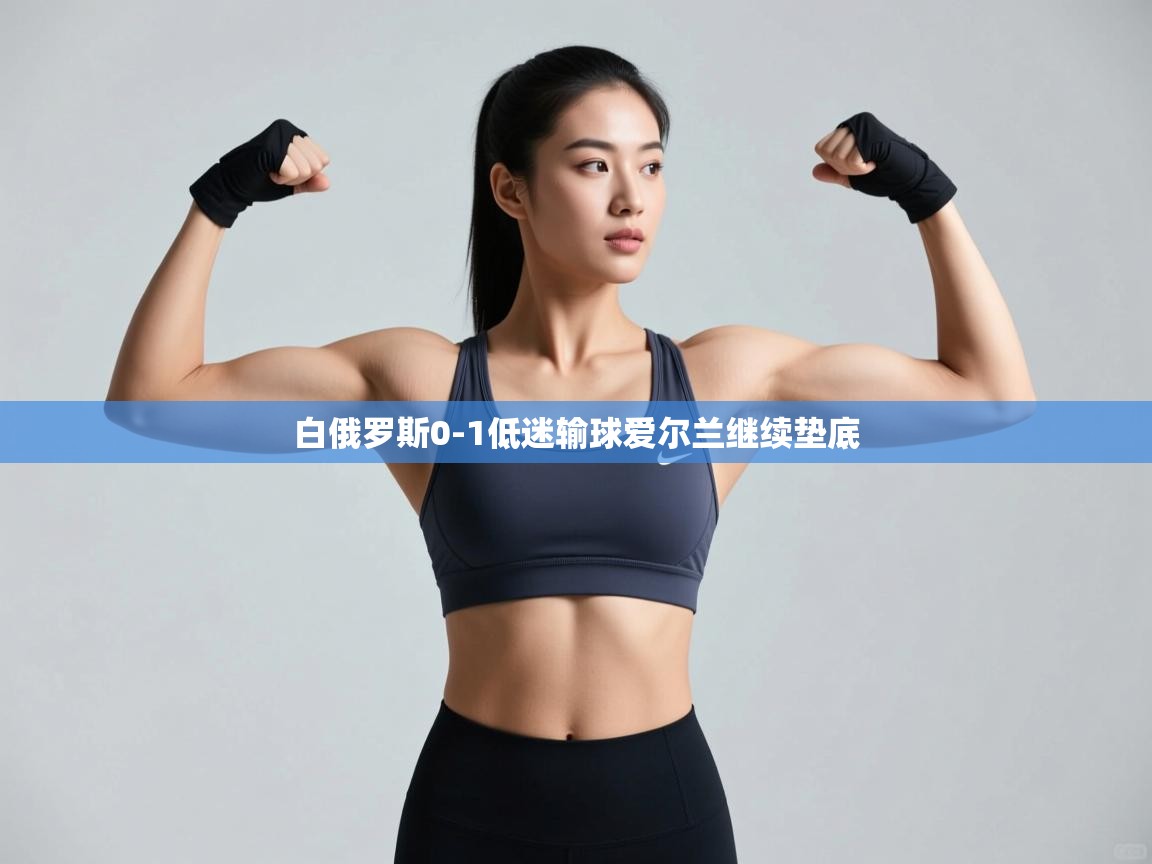 蓝鲸体育直播在线观看-白俄罗斯0-1低迷输球爱尔兰继续垫底  第3张