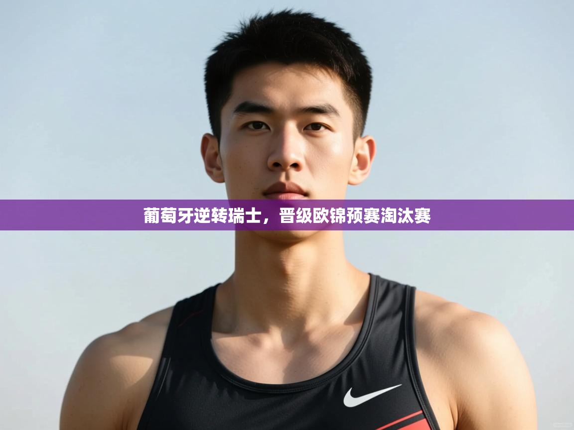 鲸蓝体育官网-葡萄牙逆转瑞士，晋级欧锦预赛淘汰赛  第2张