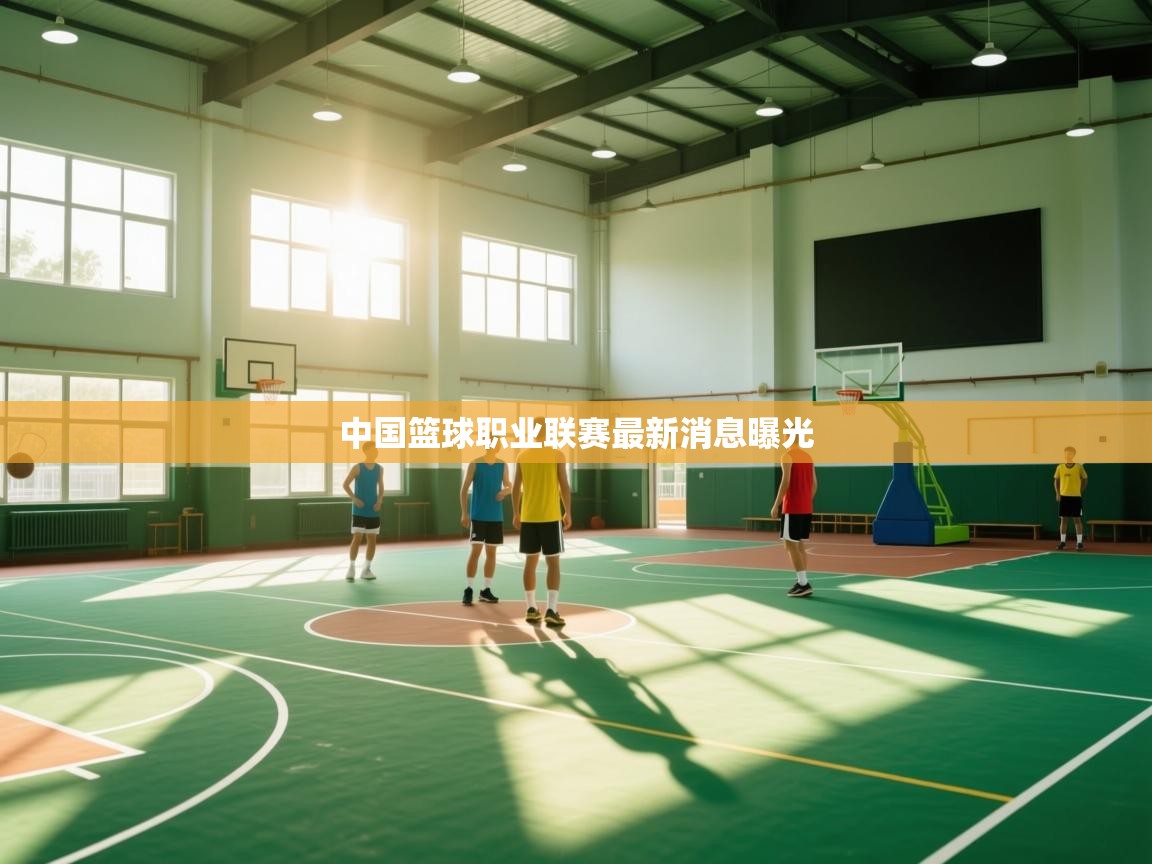 蓝鲸体育网页版入口-中国篮球职业联赛最新消息曝光 第2张